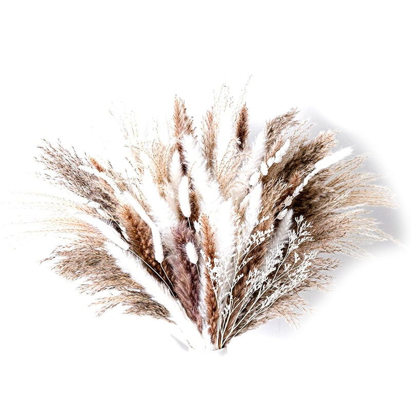Floroux | Bouquet de Pampas Séchées | Style Bohème Naturel