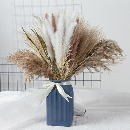 Floroux | Bouquet de Pampas Séchées | Style Bohème Naturel